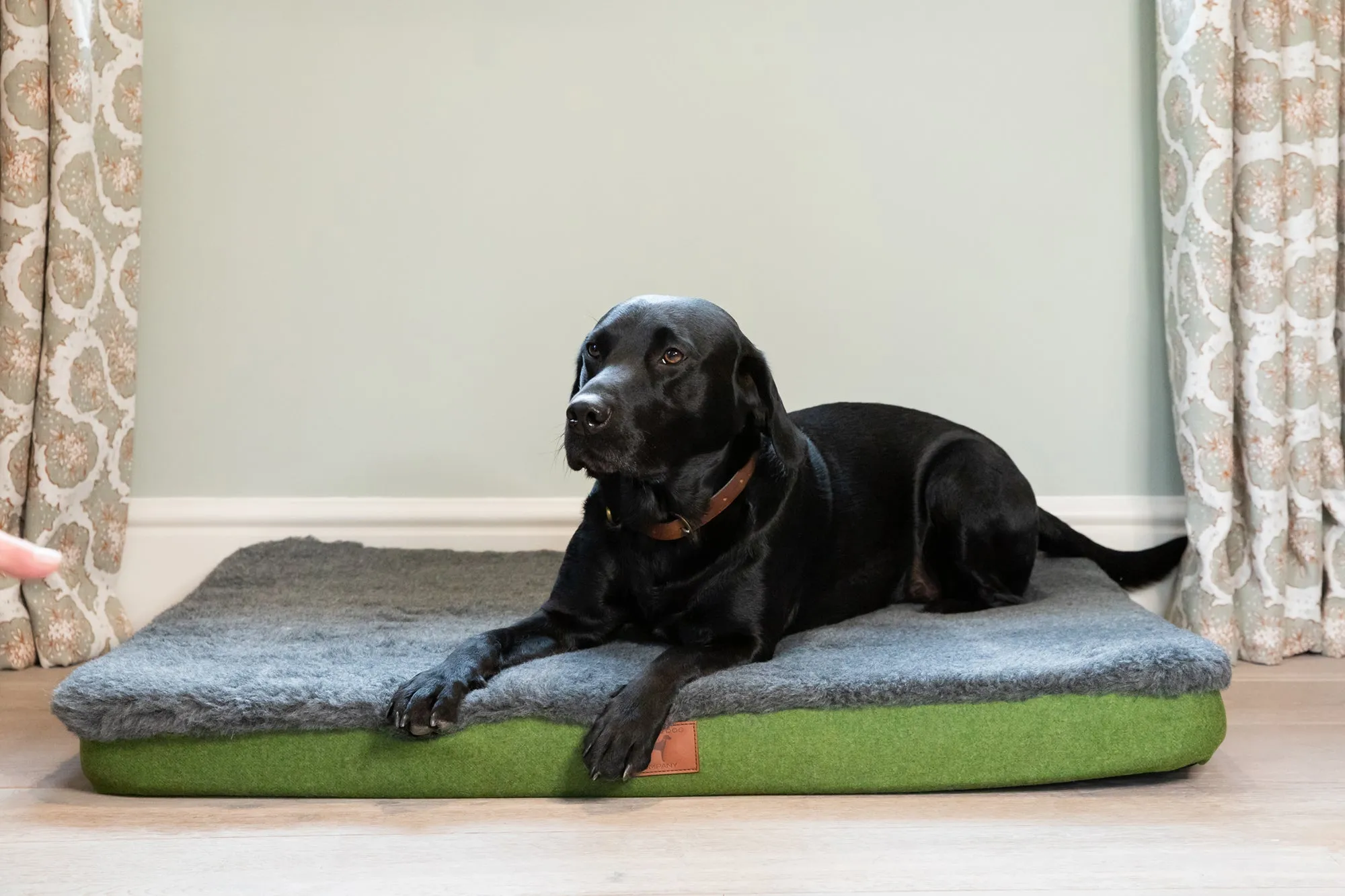 Apple Green Dog Mat