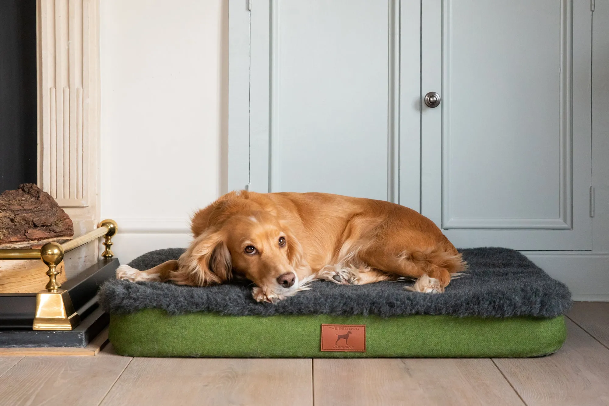 Apple Green Dog Mat