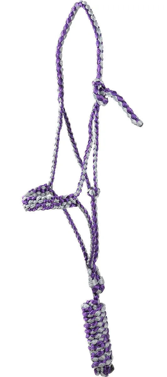 Classic Equine Flat Braid Halter with Lead Rope