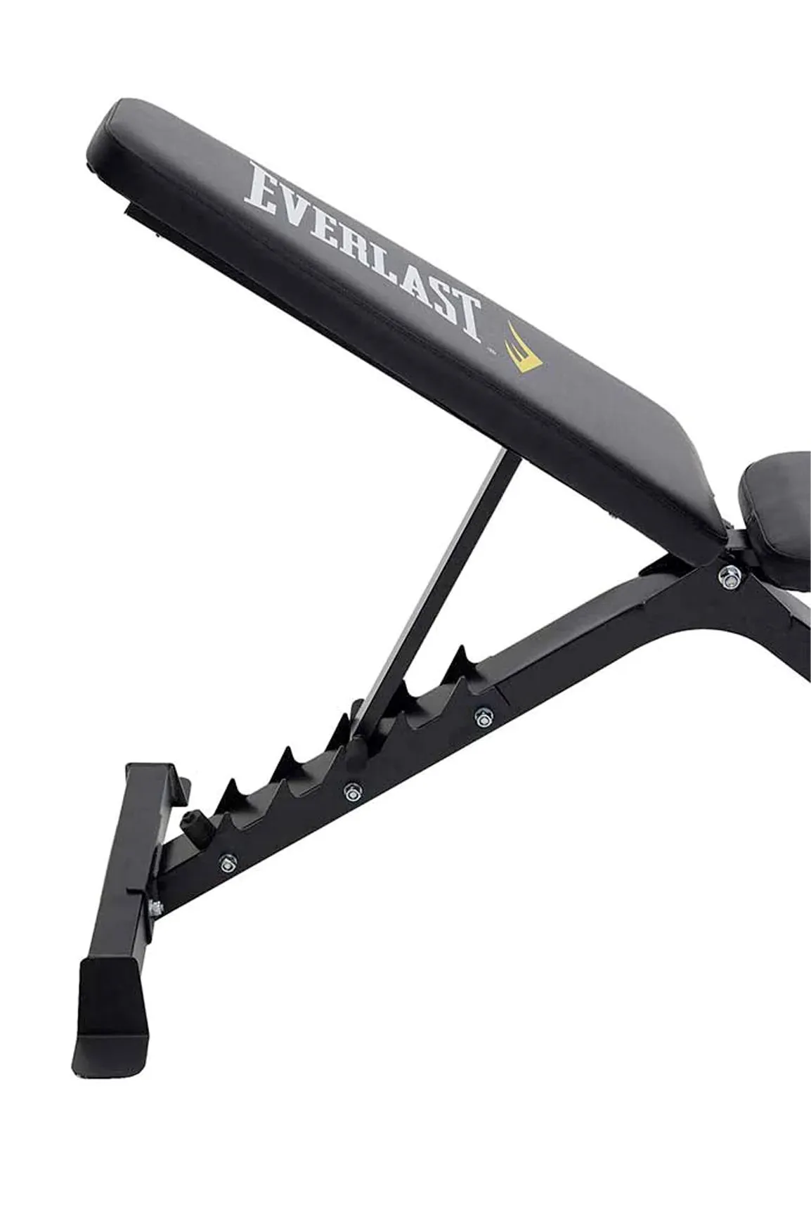 Everlast Preacher Curl Utility Bench