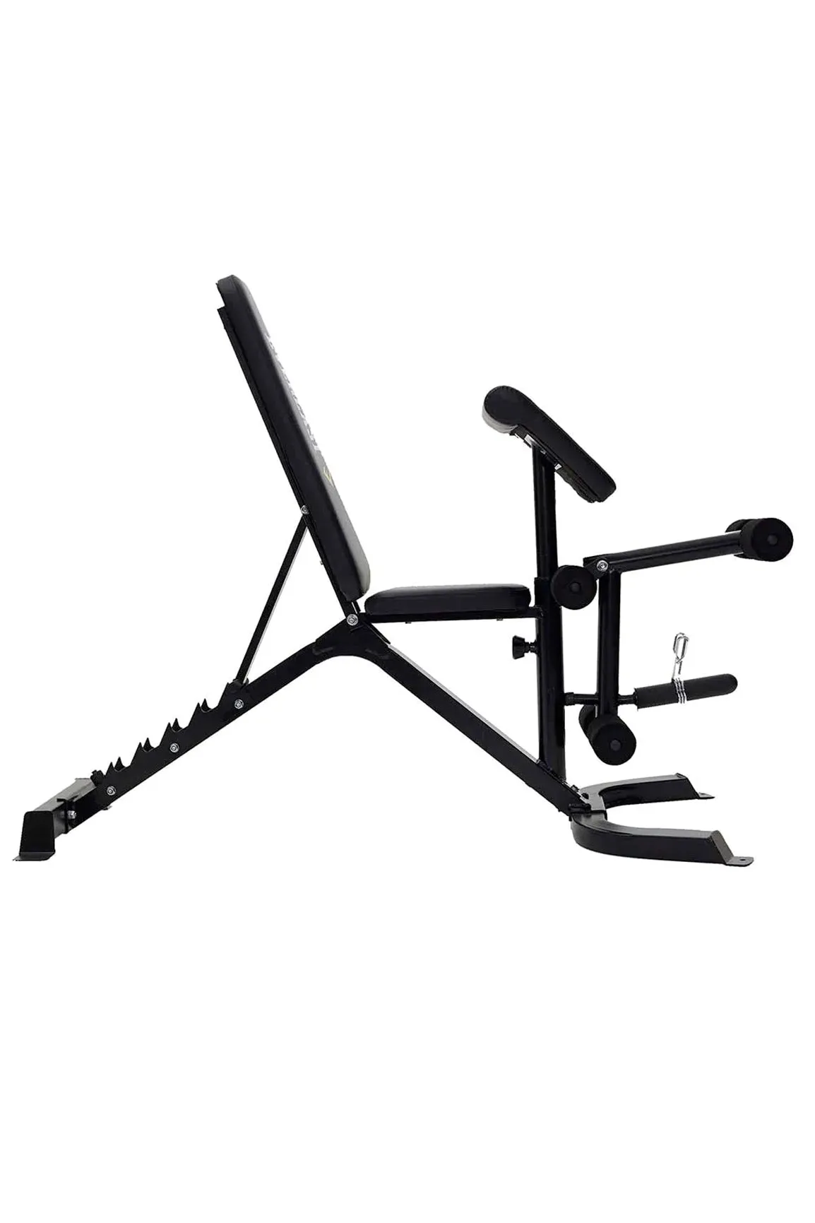 Everlast Preacher Curl Utility Bench