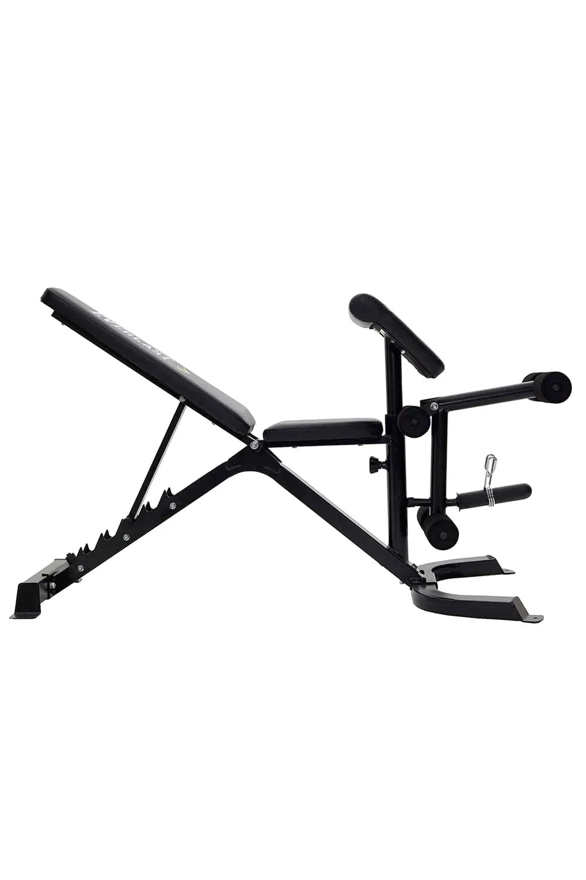 Everlast Preacher Curl Utility Bench