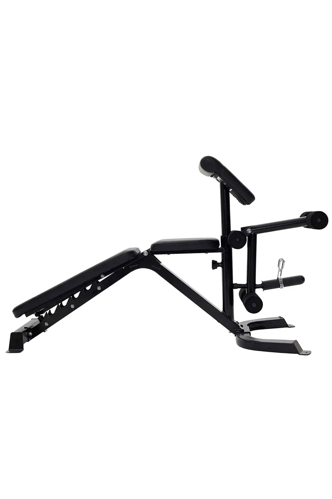 Everlast Preacher Curl Utility Bench