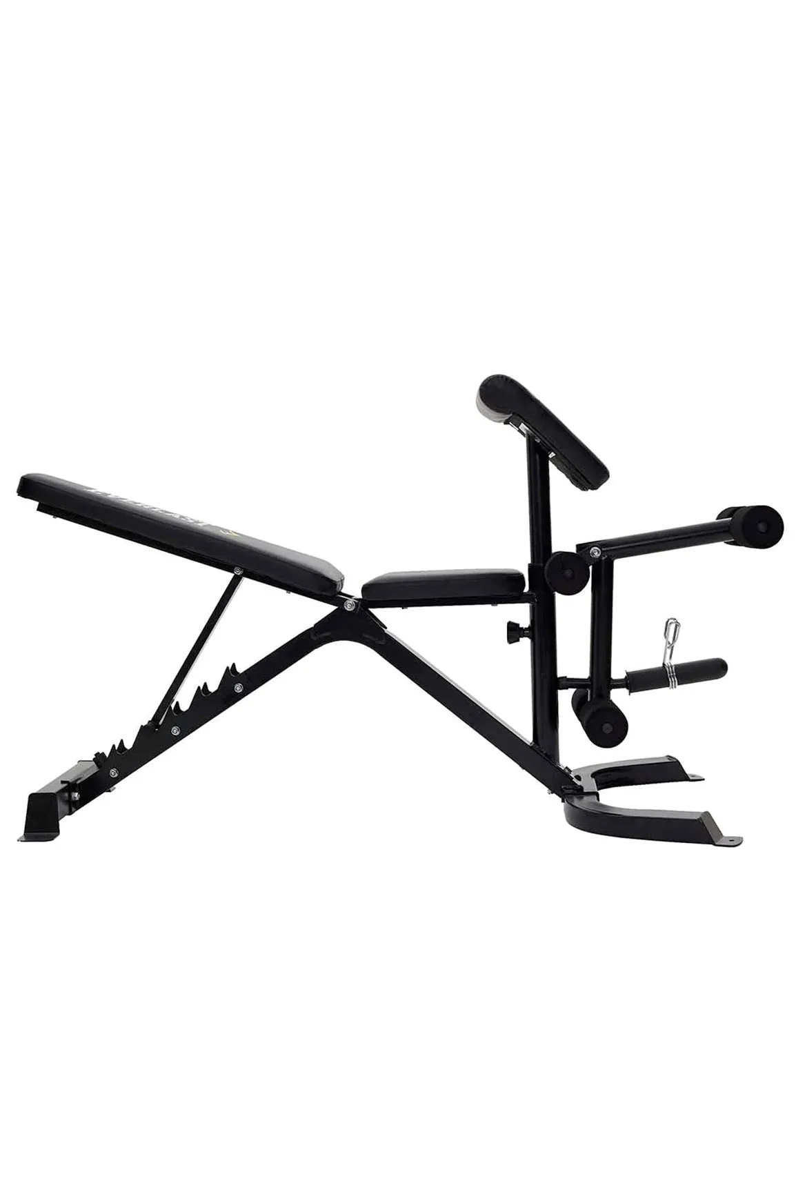 Everlast Preacher Curl Utility Bench