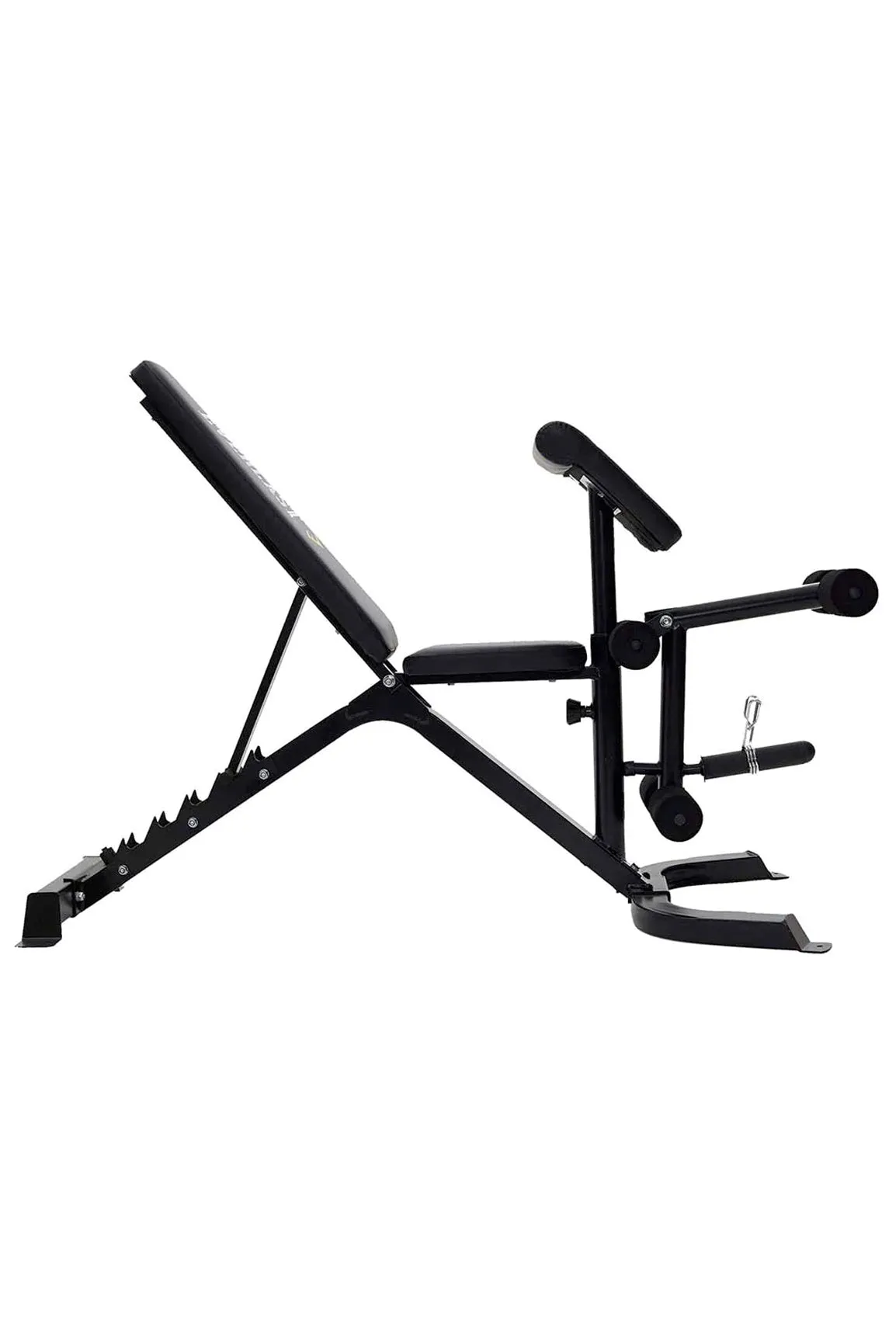 Everlast Preacher Curl Utility Bench