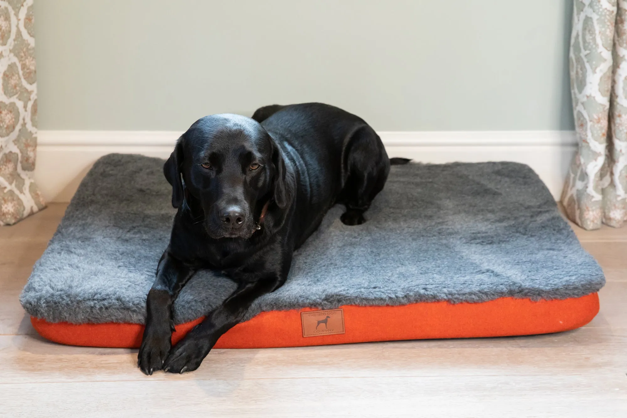 Fire Orange Dog Mat