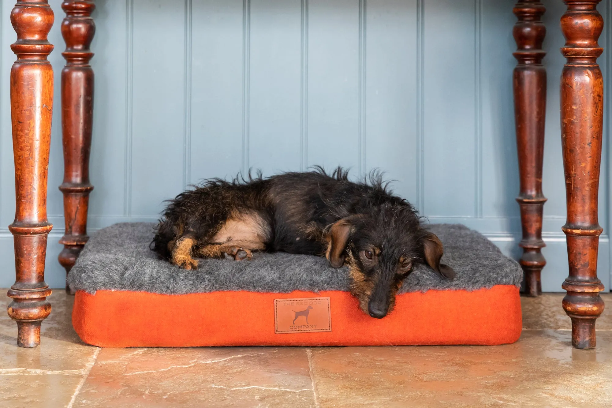 Fire Orange Dog Mat