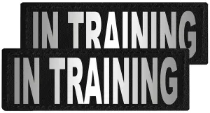 Reflective "In Training" Patches, Set of 2