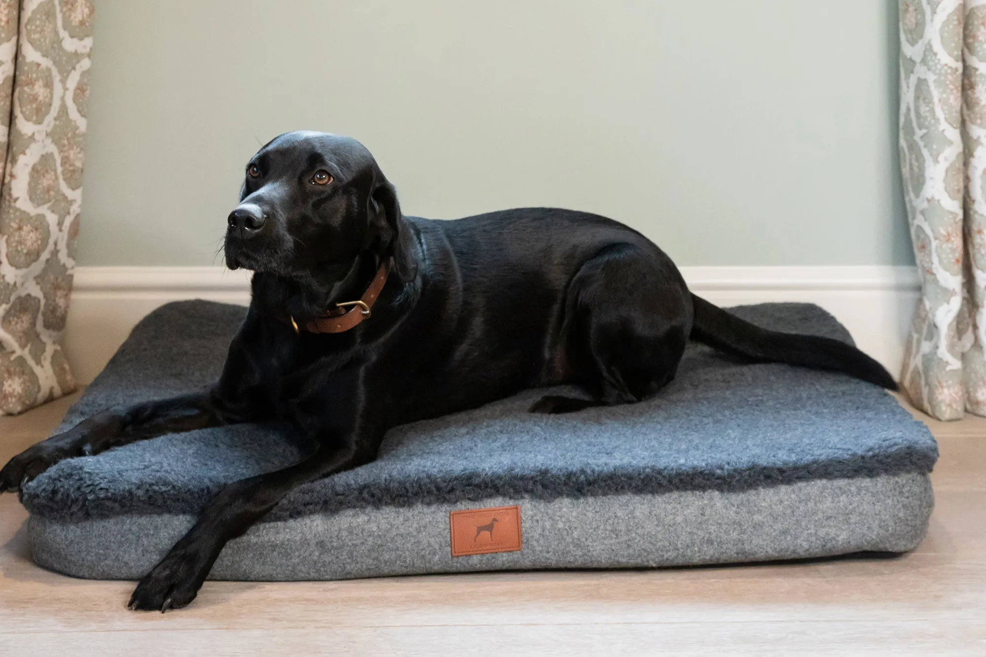 Slate Grey Dog Mat