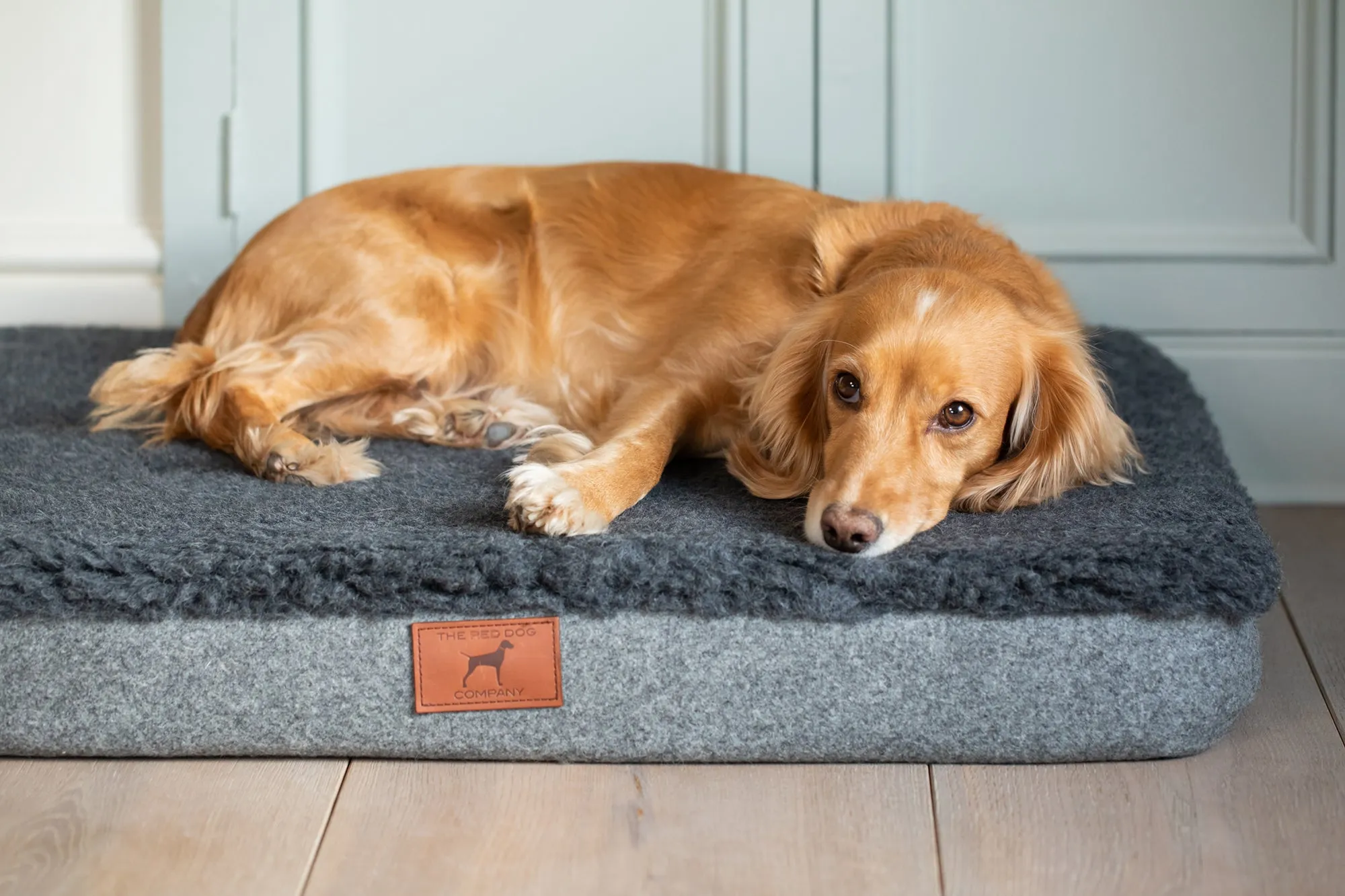 Slate Grey Dog Mat