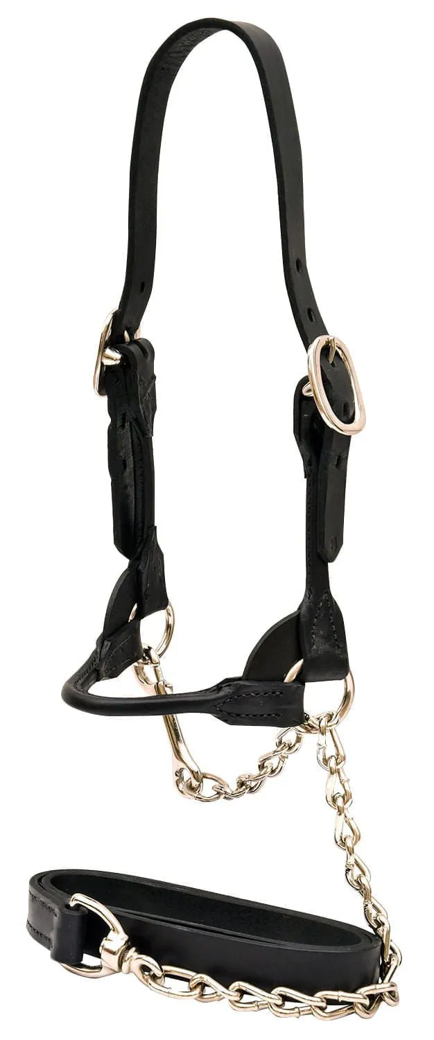 Weaver Leather Classic Rounded Cattle Show Halter, Large